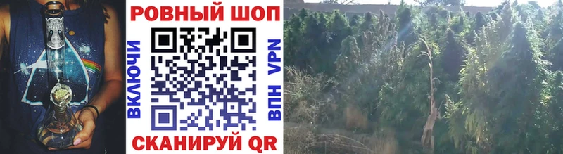 Купить закладку Дагестанские Огни COCAIN  Меф  кракен зеркало  А ПВП  Конопля  ГАШ 