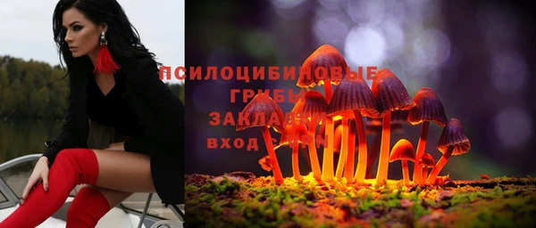 МДПВ Белокуриха