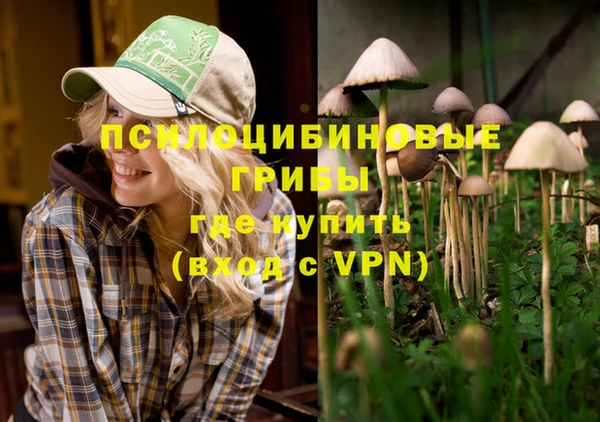 метадон Бородино
