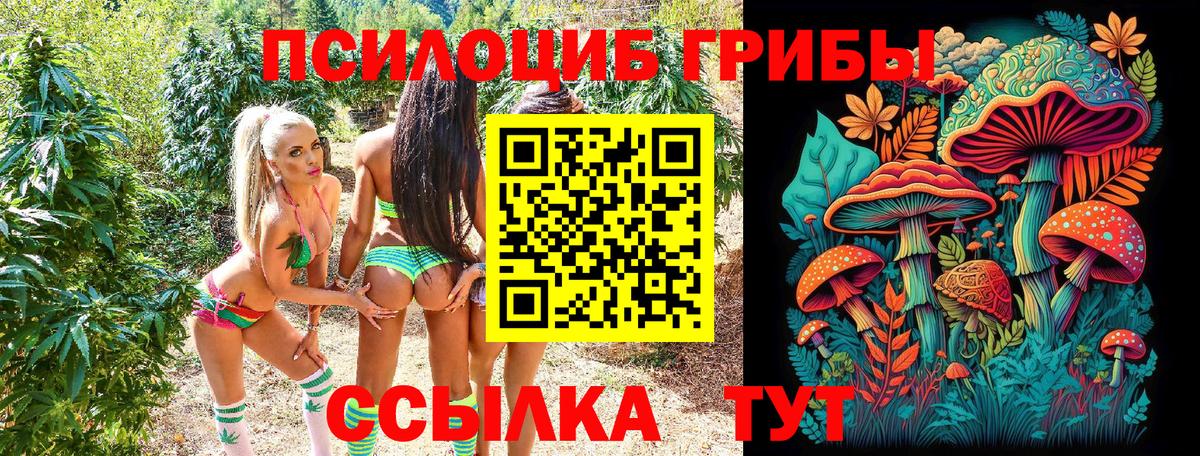 Дагестанские Огни  наркошоп  Вход с VPN  Псилоцибиновые грибы ЛСД 