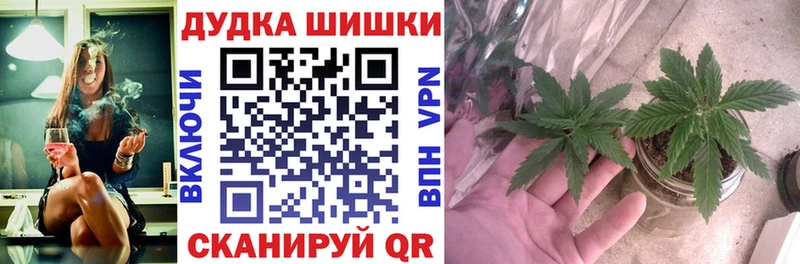 МАРИХУАНА семена  блэк спрут зеркало  Дагестанские Огни 